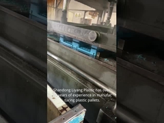 Shandong Liyang Moldagem de Plástico Co., Ltd.